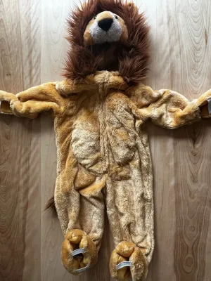 2 t Lion Costume , Kids 2T