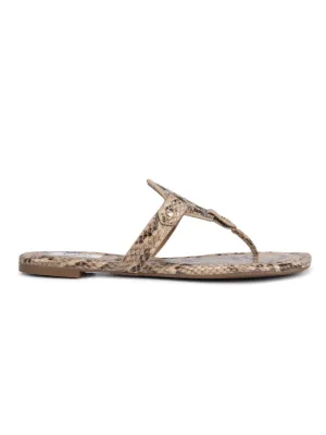 Beige Printed Logo Sliders