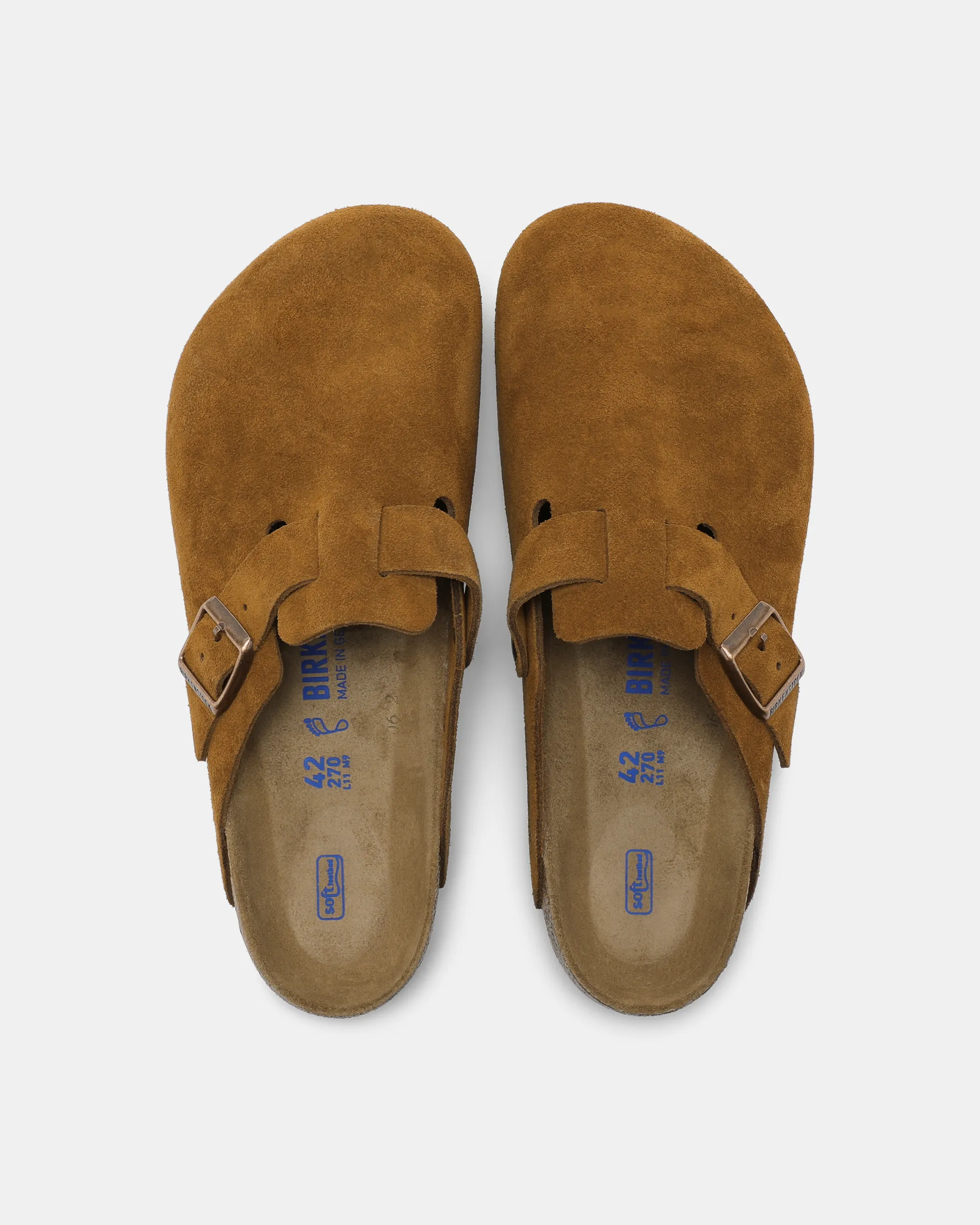 BOSTON VL SFB