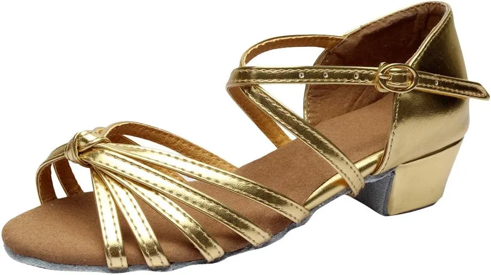Chunky Dress Shoes for Women Open Toe Latin Dance Shoes Professional Ballroom Sandals Low Block Heeled Sandals