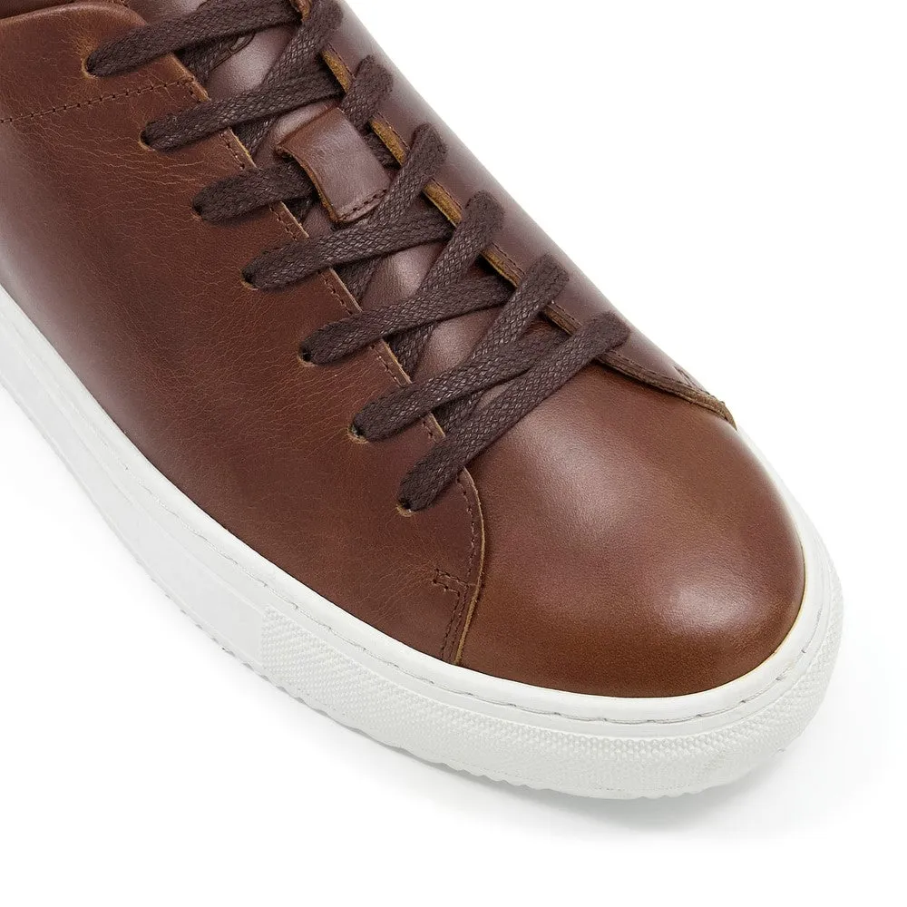 Dune Thorn Trainers