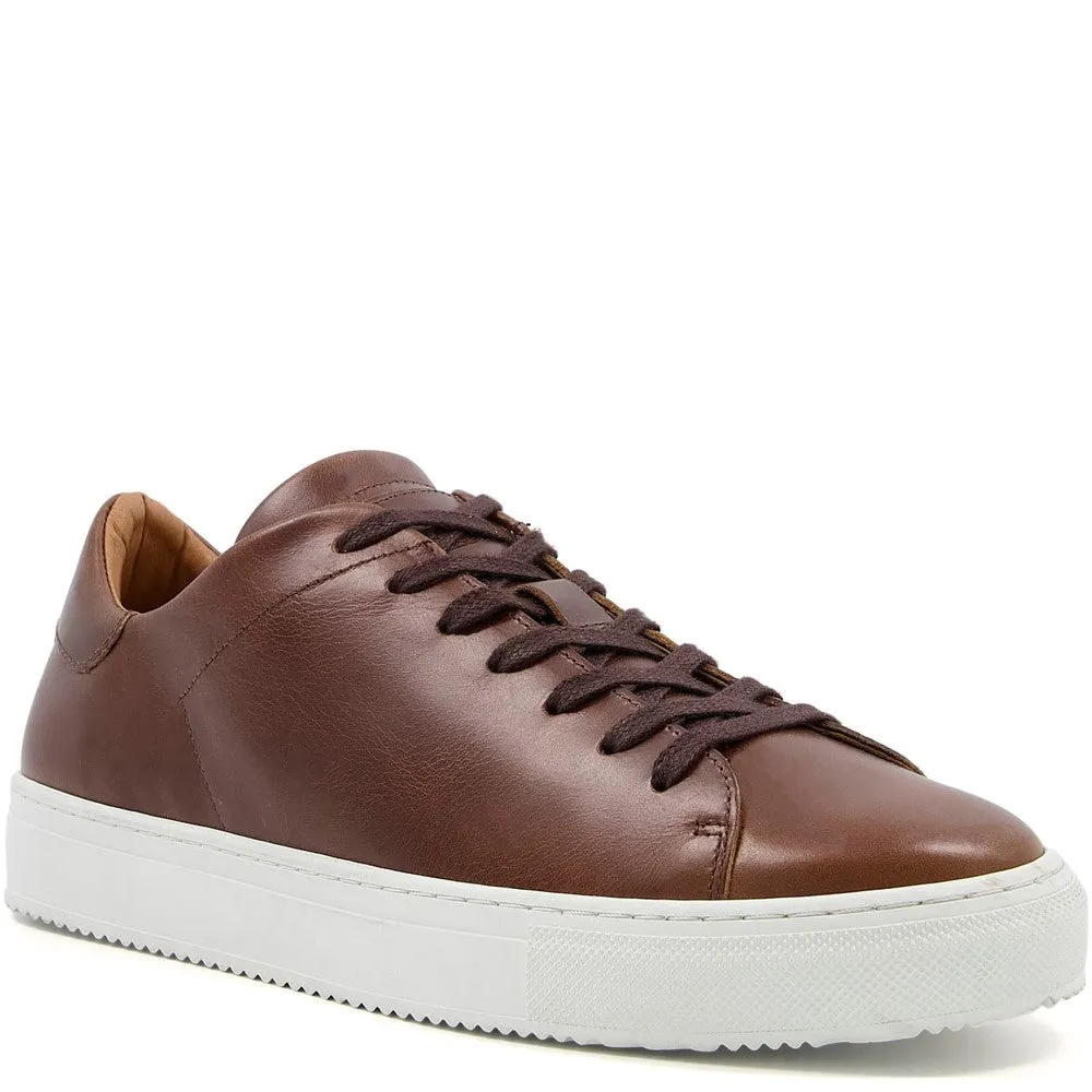 Dune Thorn Trainers