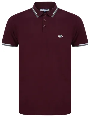 Louis Cotton Pique Polo Shirt in Winetasting - Le Shark