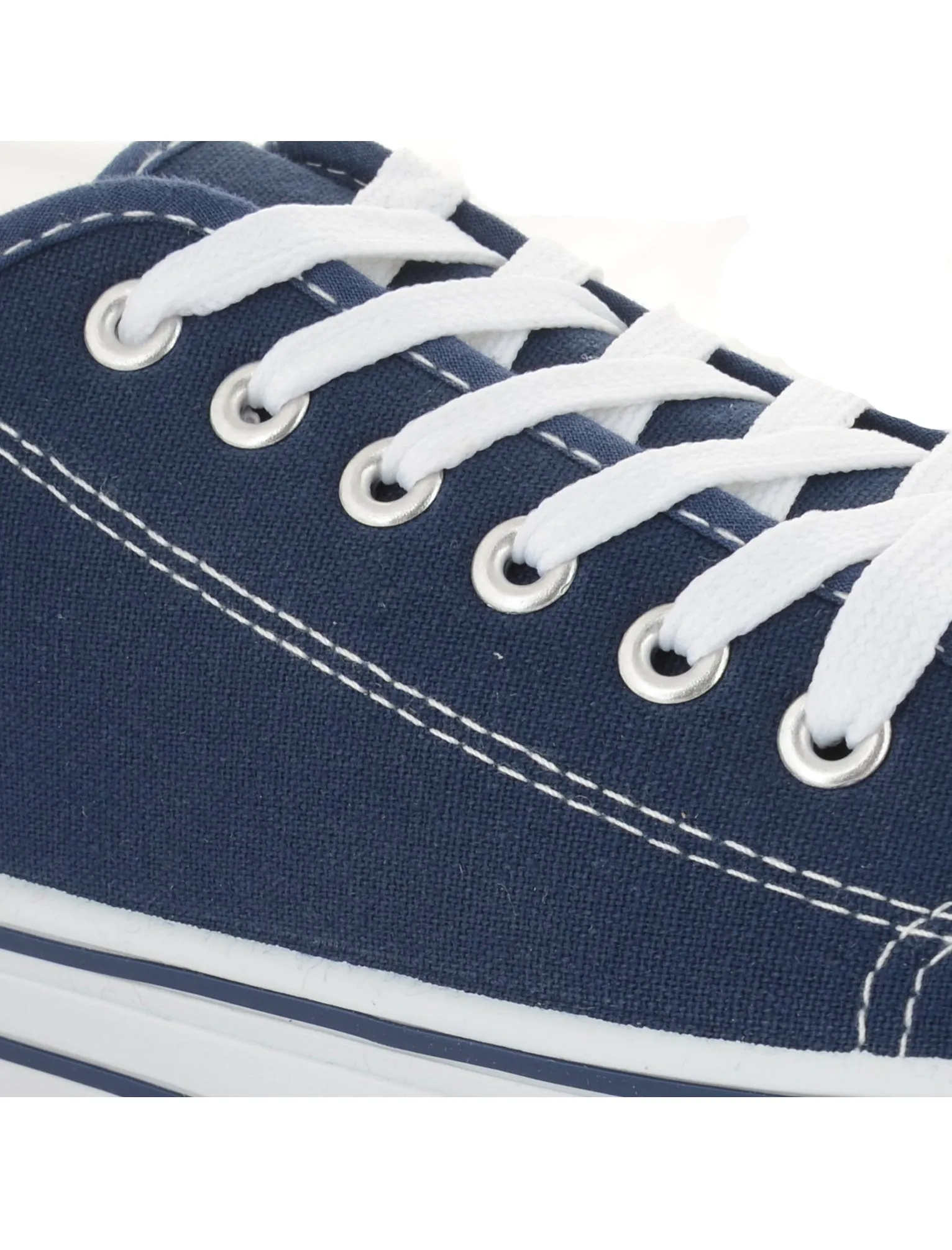 Mens Taylor Low Top Lace Up Canvas Trainers in Navy