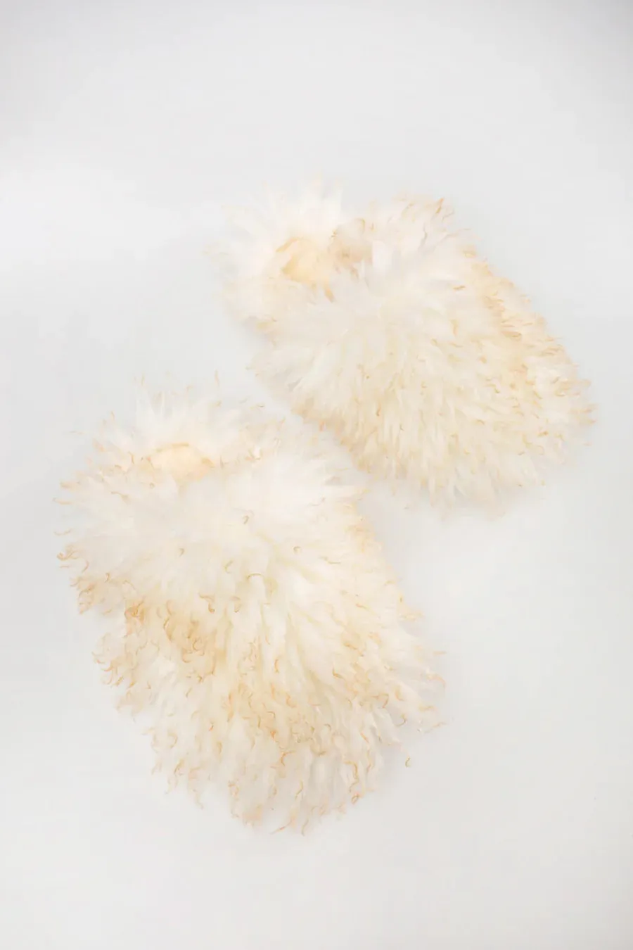 Oh So Fun Slippers