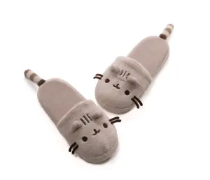 Pusheen Slippers
