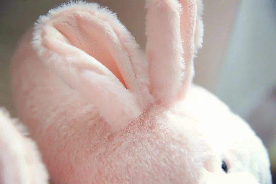 THE BUNNY HOP