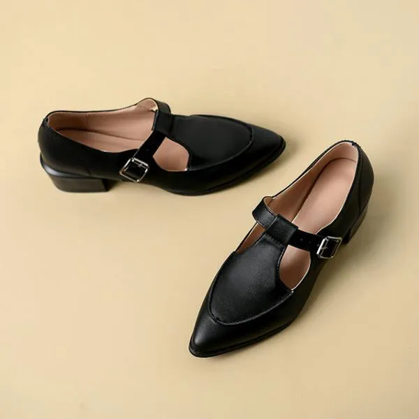Women's Retro Pointed Toe Chunky Heel Mary Jane Shoes 35492373C